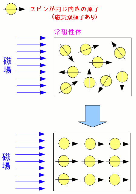 SAjbPȂǂ̏펥̂ɁA΂߂Â