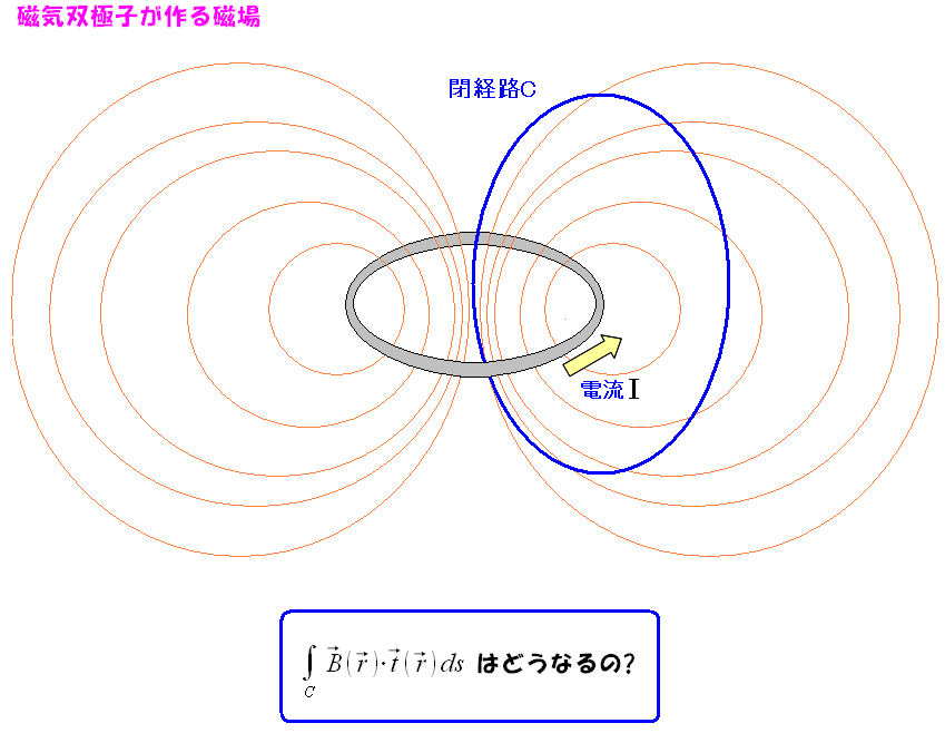 CoɎq~`̉HƕHꍇ