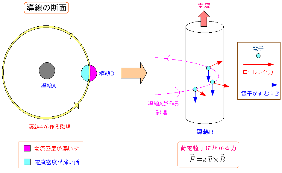 B̓dx̕zɕ΂肪o