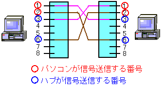 NXP[ȕꍇ̐̑Ή֌W