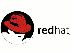 redhat6.1̏ے̐ԂXq̂