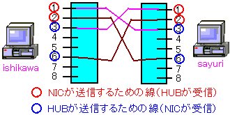 NXP[ȕꍇ̐̑Ή֌W