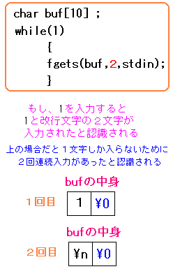 fgets(buf,2,stdin);Ƃꍇ