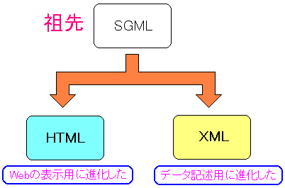 XML̗R