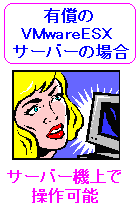 VMwareESX̏ꍇAT[o[@ő삪\