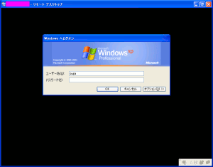 WindowsXP̔F؉