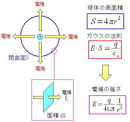 דdqod̑傫